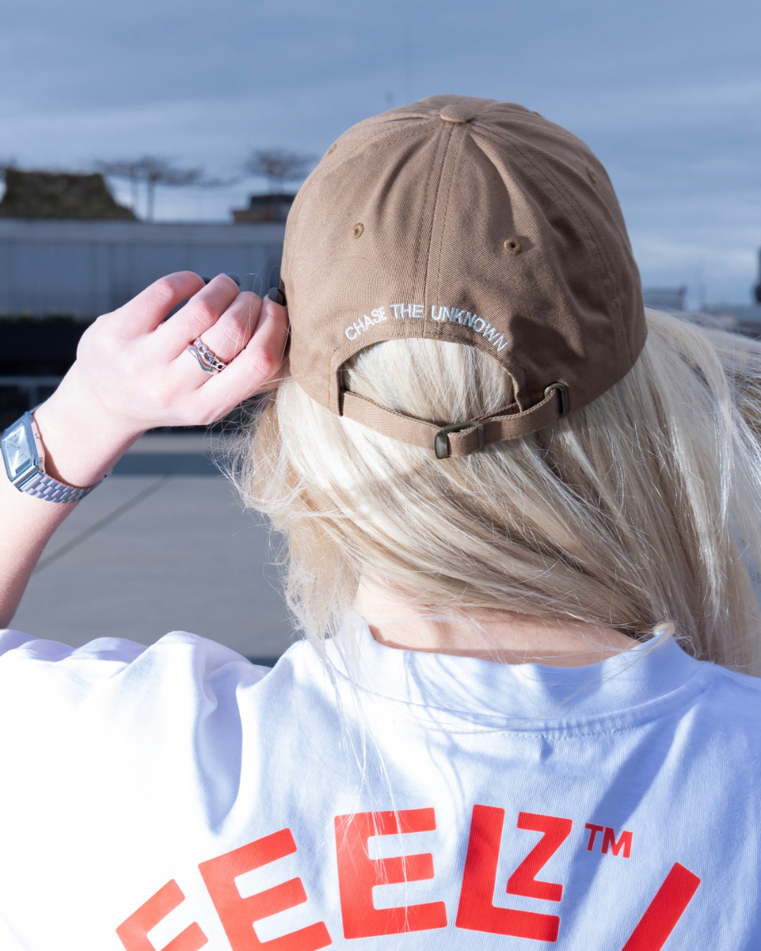 CAP {brown}