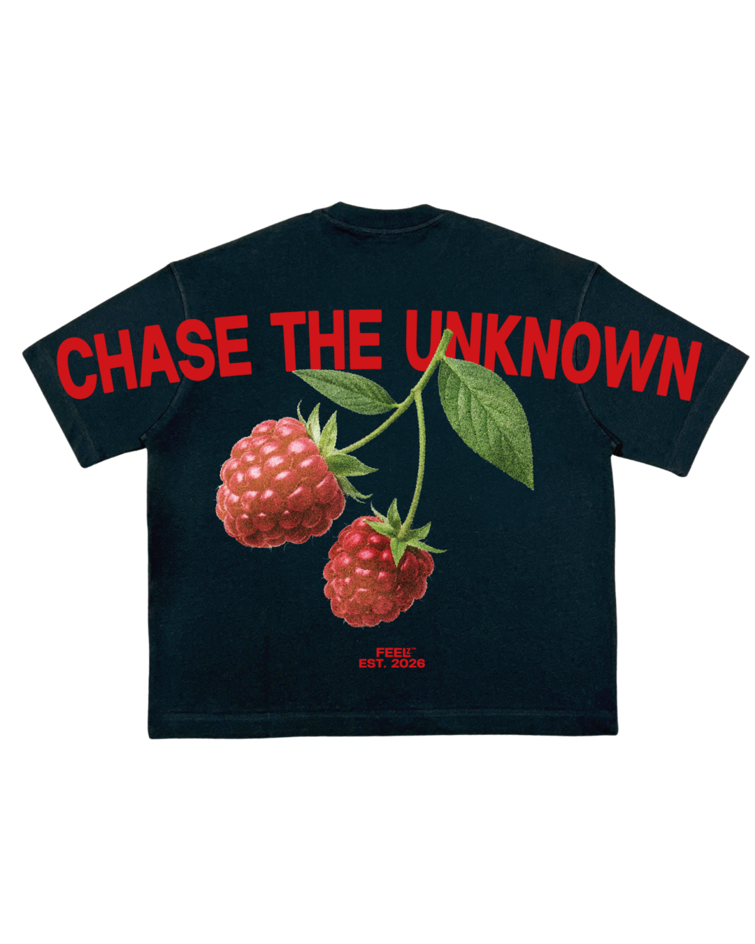 CHASE THE UNKNOWN TEE